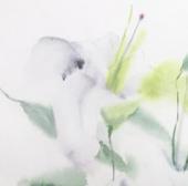 Миниатюра изображения: Белые лилии №2